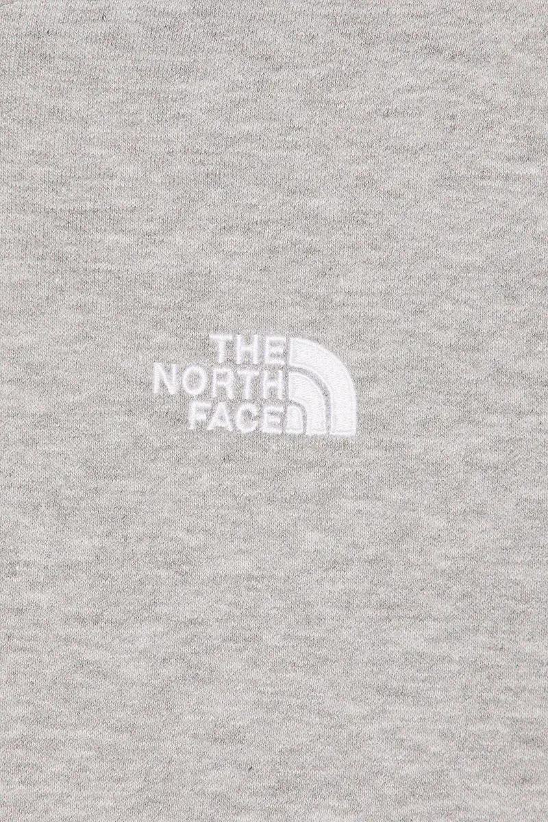 The North Face Men's Evolution Simple Dome Regular Hoodie | Thumbnail 5