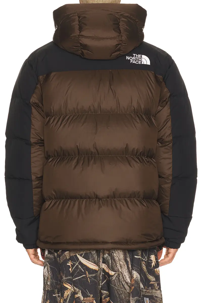 The North Face Men's Hmlyn Down Parka | Thumbnail 3