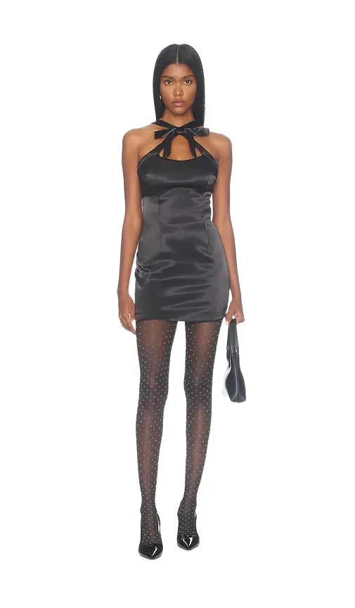 Cierra Mini Dress Cierra Mini Dress