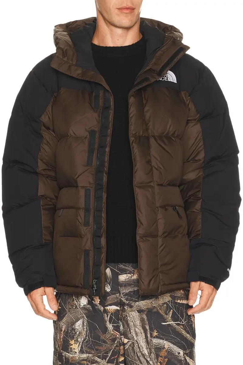 The North Face Men's Hmlyn Down Parka