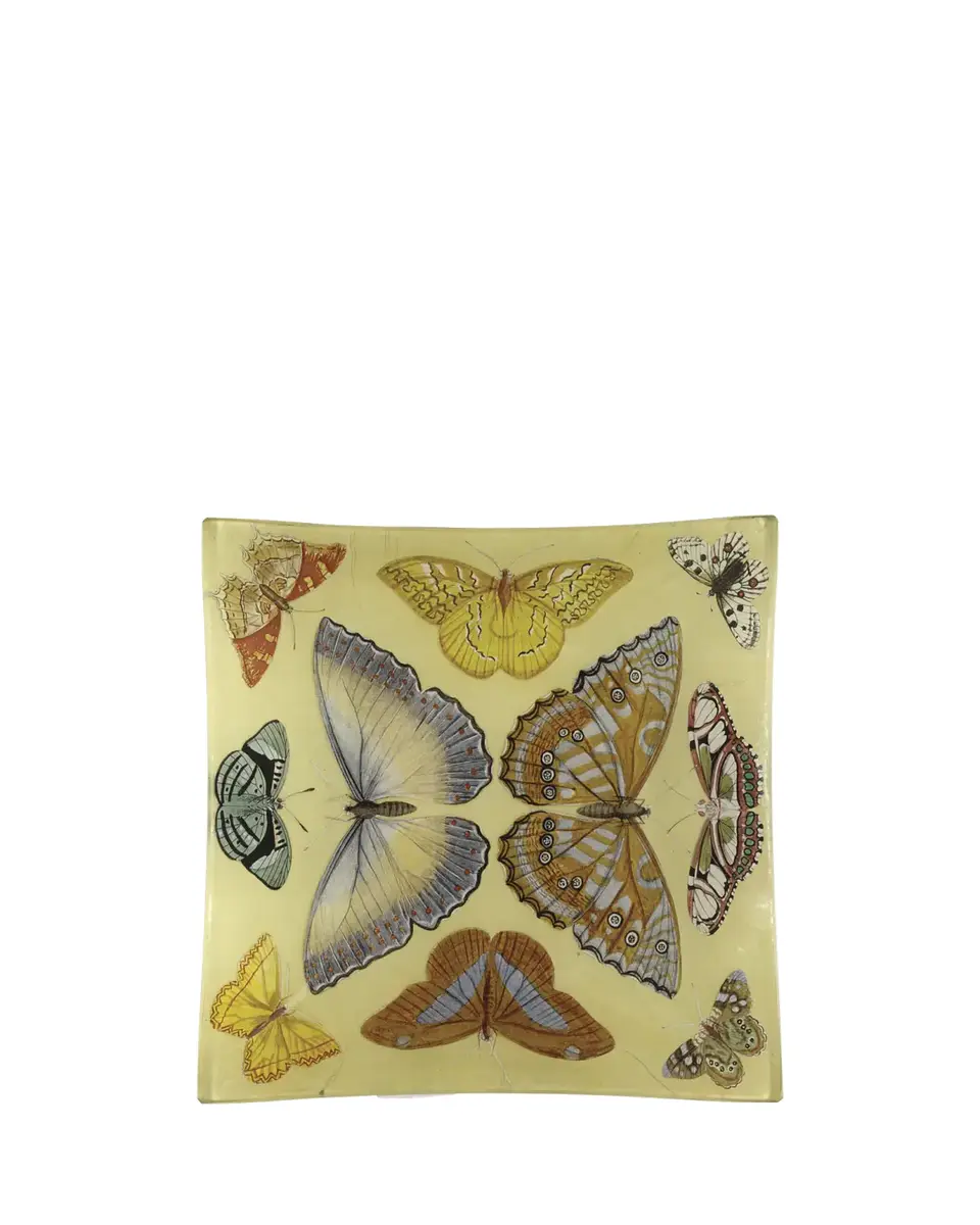 John Derian Butterfly Collection Square Tray | Thumbnail 2