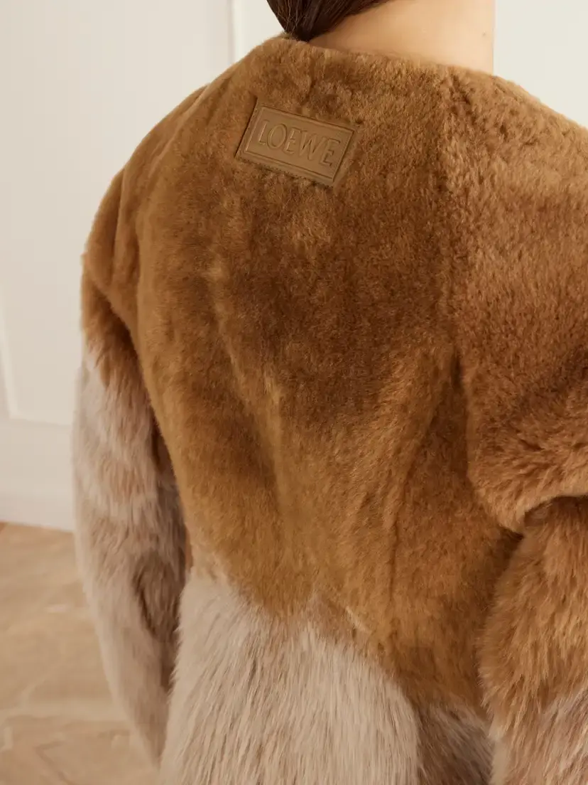 Loewe Shearling Jacket | Thumbnail 4