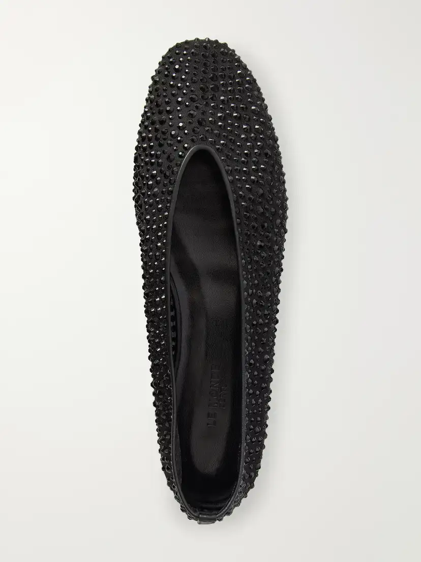Le Monde Béryl Luna Crystal-embellished Mesh Ballet Flats | Thumbnail 6