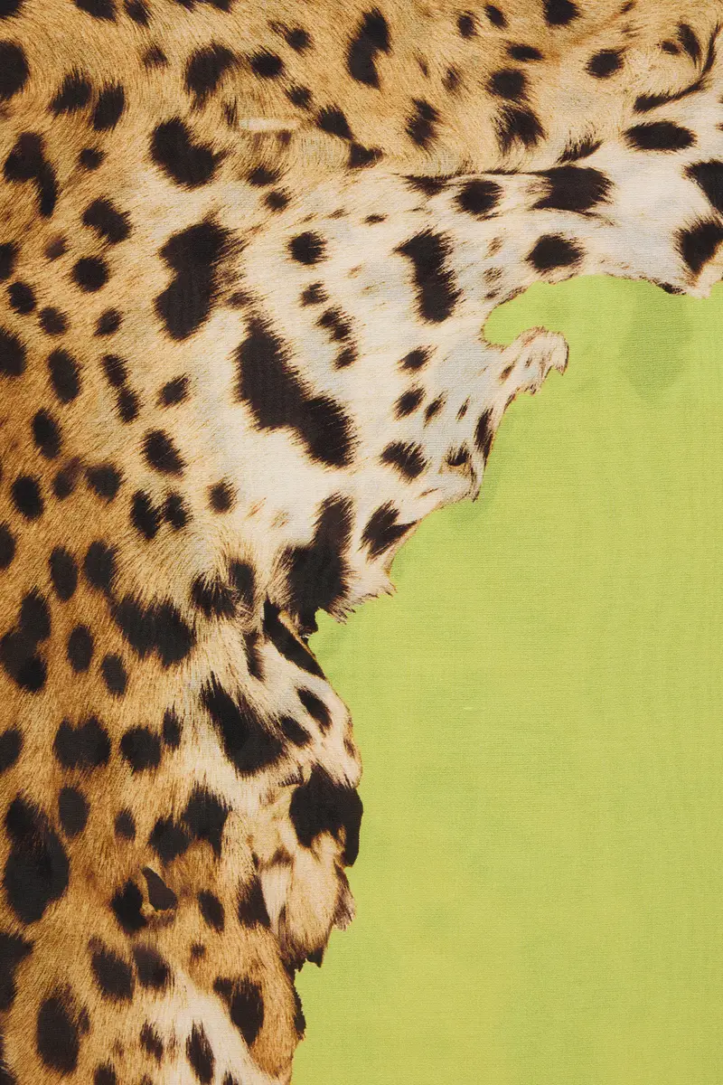 Roberto Cavalli Cavalli Pop Print Silk Stole | Thumbnail 2