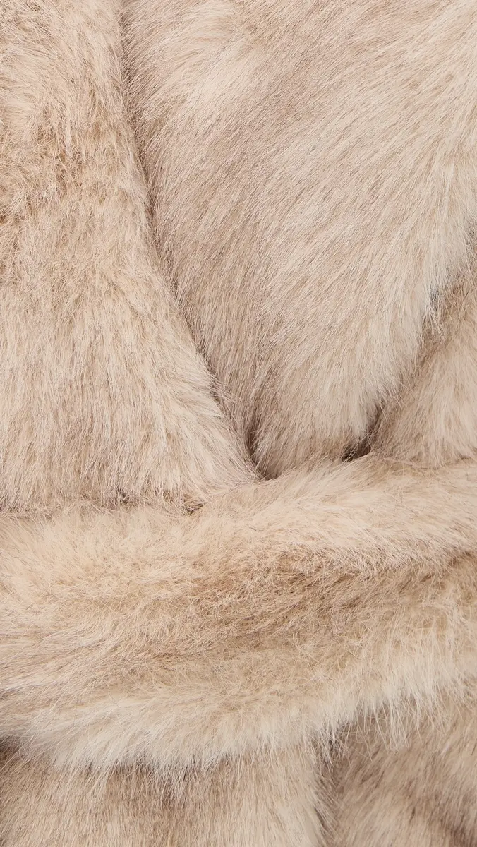 4th & Reckless Schiffer Coat | Thumbnail 6