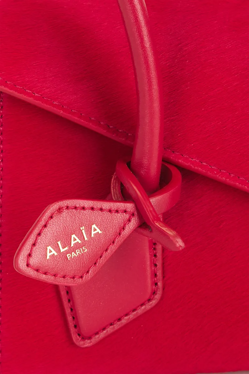 Alaïa Small Teckel Flap Bag | Thumbnail 6 Alaïa Small Teckel Flap Bag | Thumbnail 6