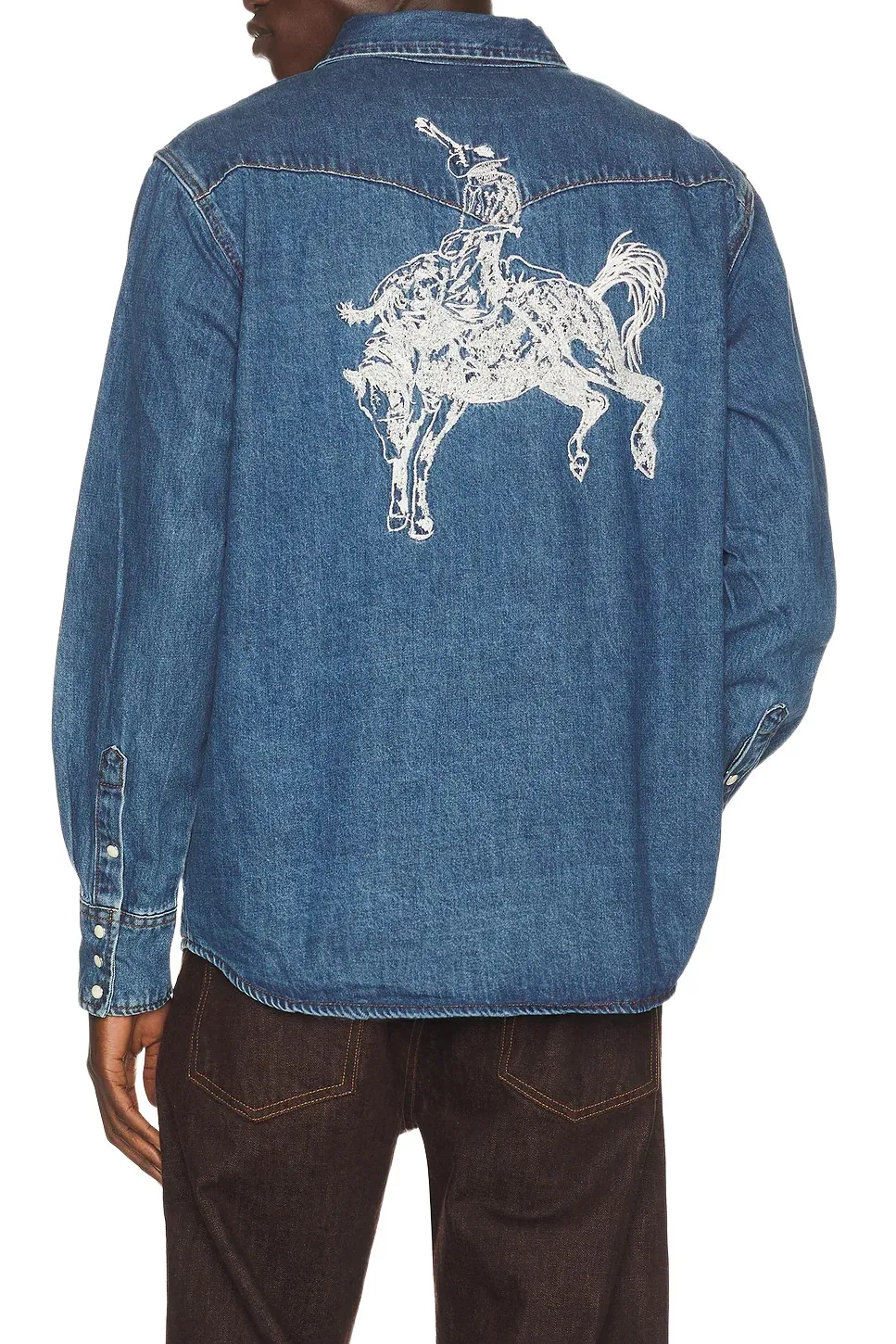 ONE OF THESE DAYS Western Shirt