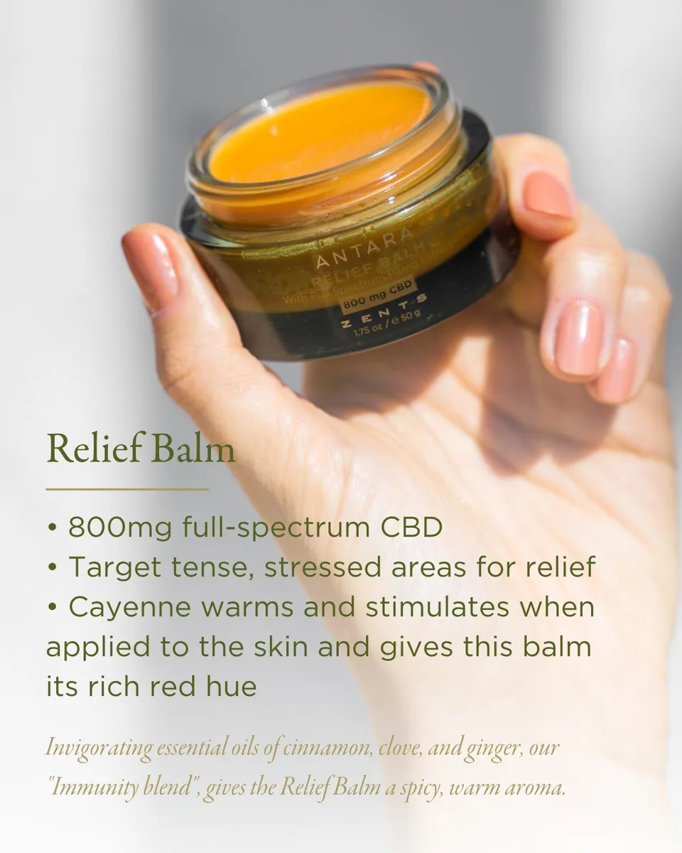 Zents 1.75 oz. ANTARA Relief Balm with 800 mg CBD | Thumbnail 4 Zents 1.75 oz. ANTARA Relief Balm with 800 mg CBD | Thumbnail 4