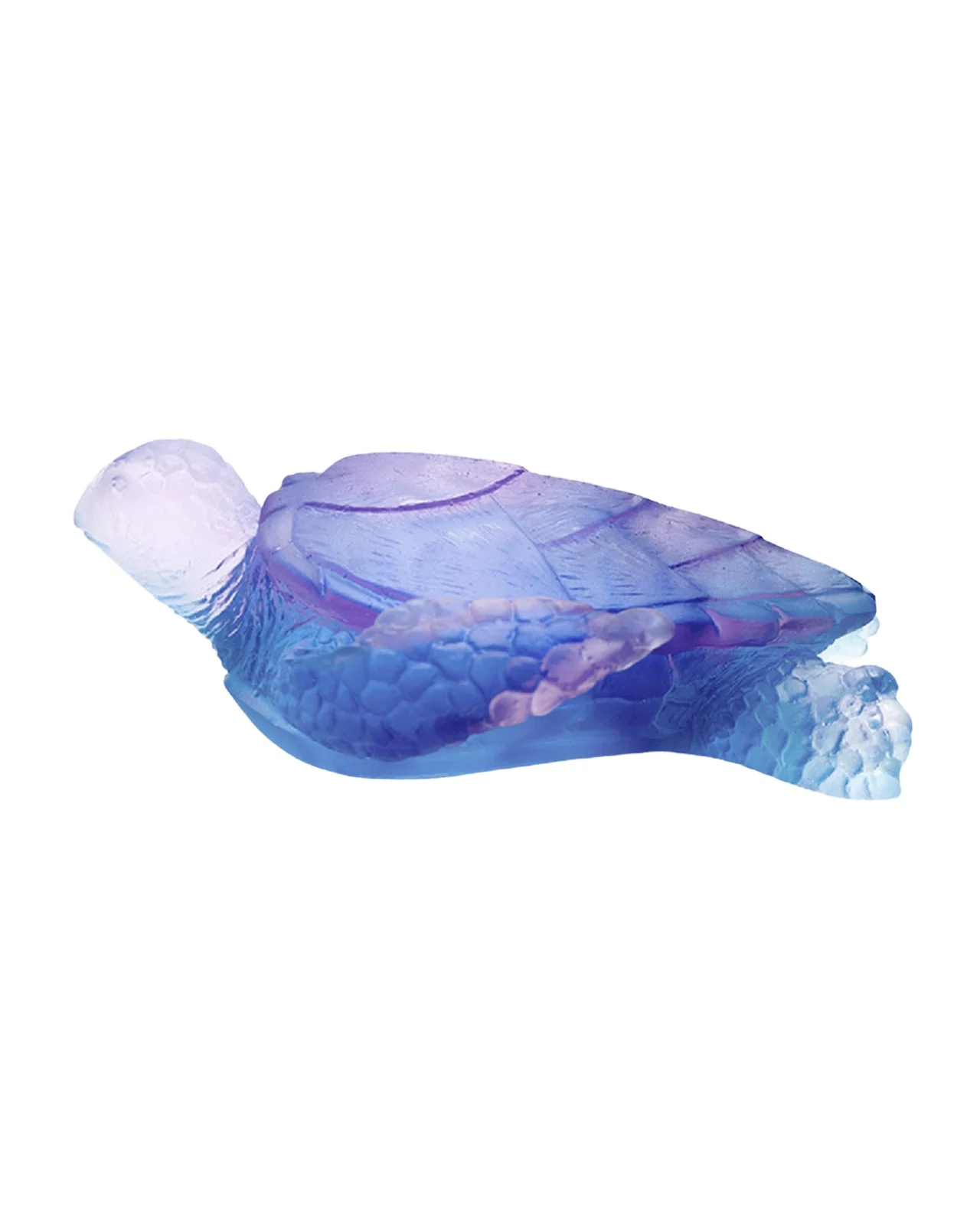 Coral Sea Medium Sea Turtle, Blue/Pink Coral Sea Medium Sea Turtle, Blue/Pink