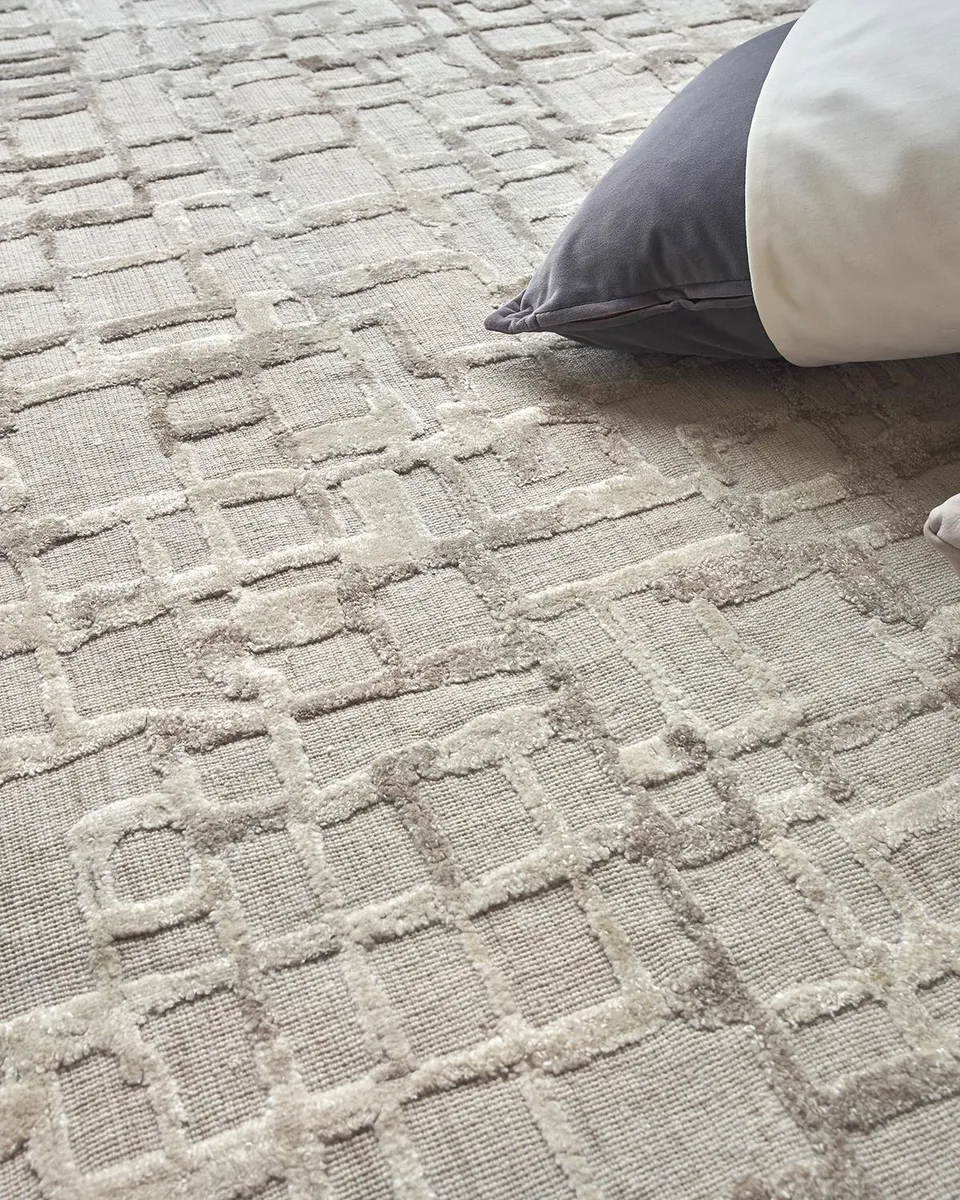 Exquisite Rugs Vista Hand-Loomed Beige Rug | Thumbnail 5