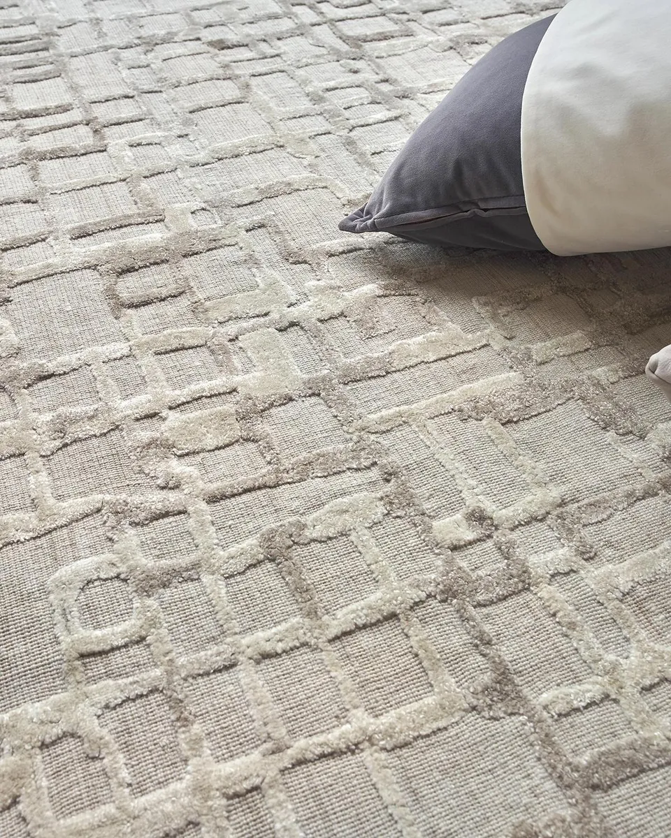 Exquisite Rugs Vista Hand-Loomed Beige Rug | Thumbnail 5