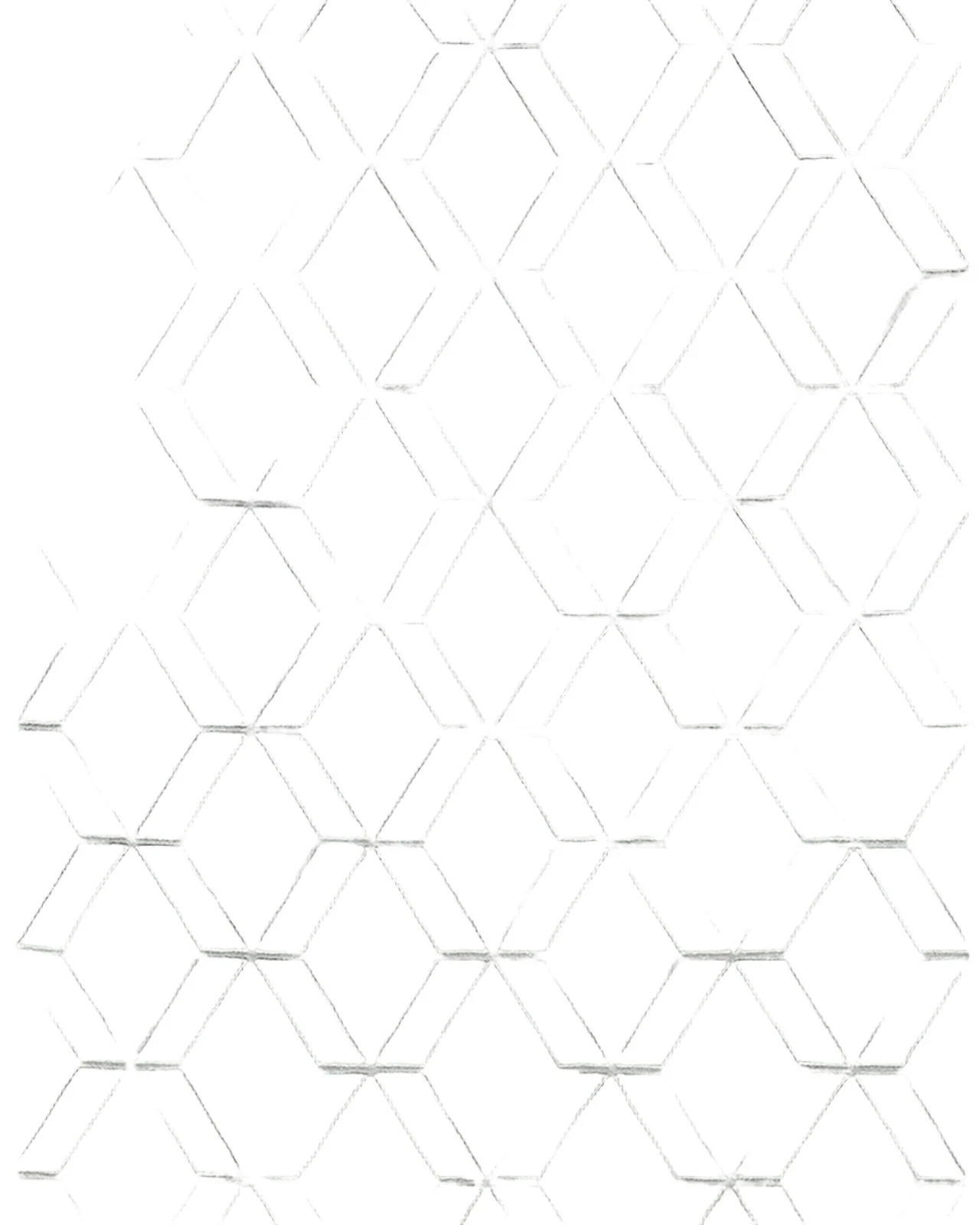 Exquisite Rugs Brunello Hand-Loomed Light Silver Rug, 4 ' x 6 '