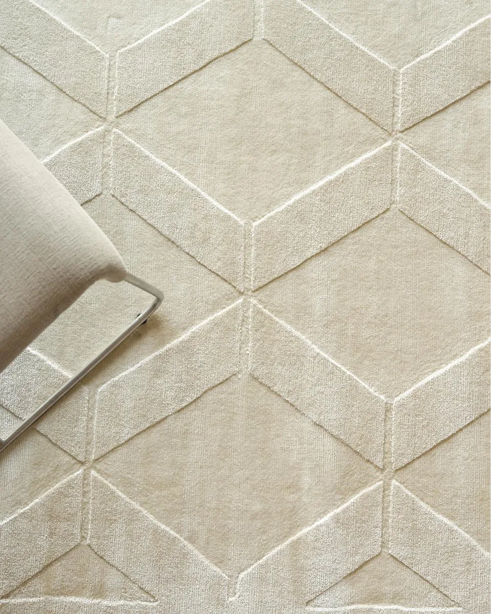 Exquisite Rugs Brunello Hand-Loomed Light Beige Rug, 4 ' x 6 ' | Thumbnail 6