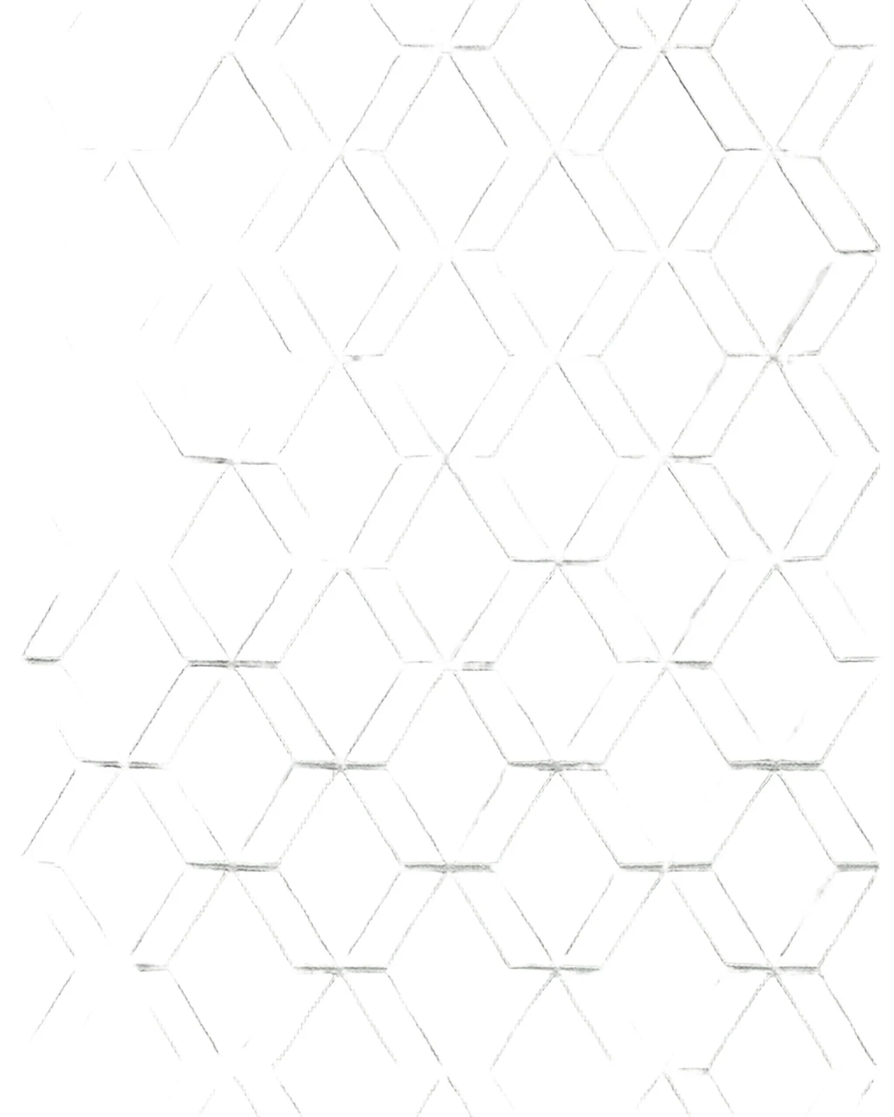 Exquisite Rugs Brunello Hand-Loomed Light Silver Rug, 6 ' x 9 '