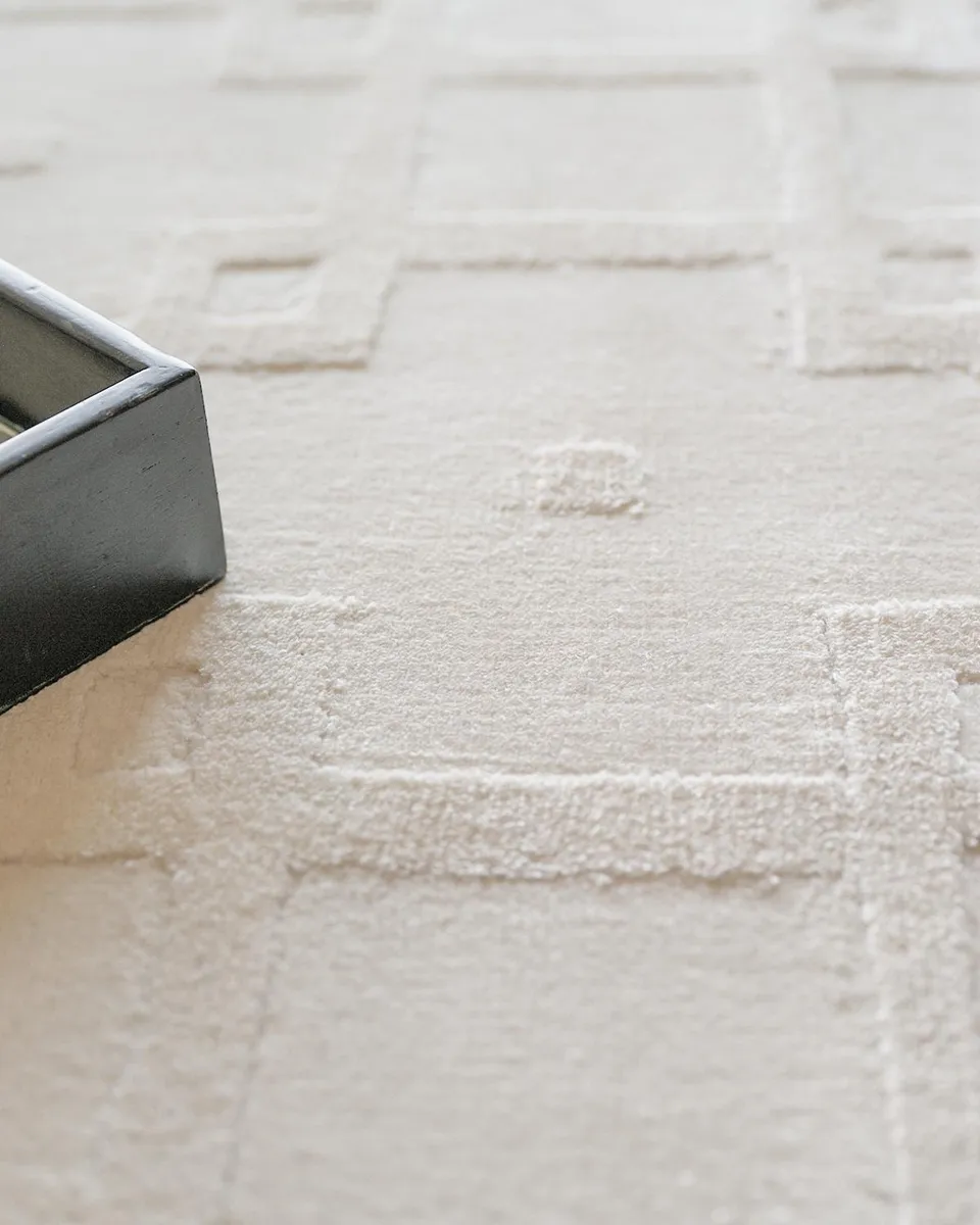Exquisite Rugs Camora Hand-Loomed White Rug, 4 ' x 6 ' | Thumbnail 5