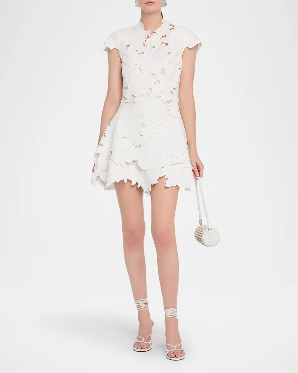 Simkhai Holloway Embroidered Mini Dress | Thumbnail 2