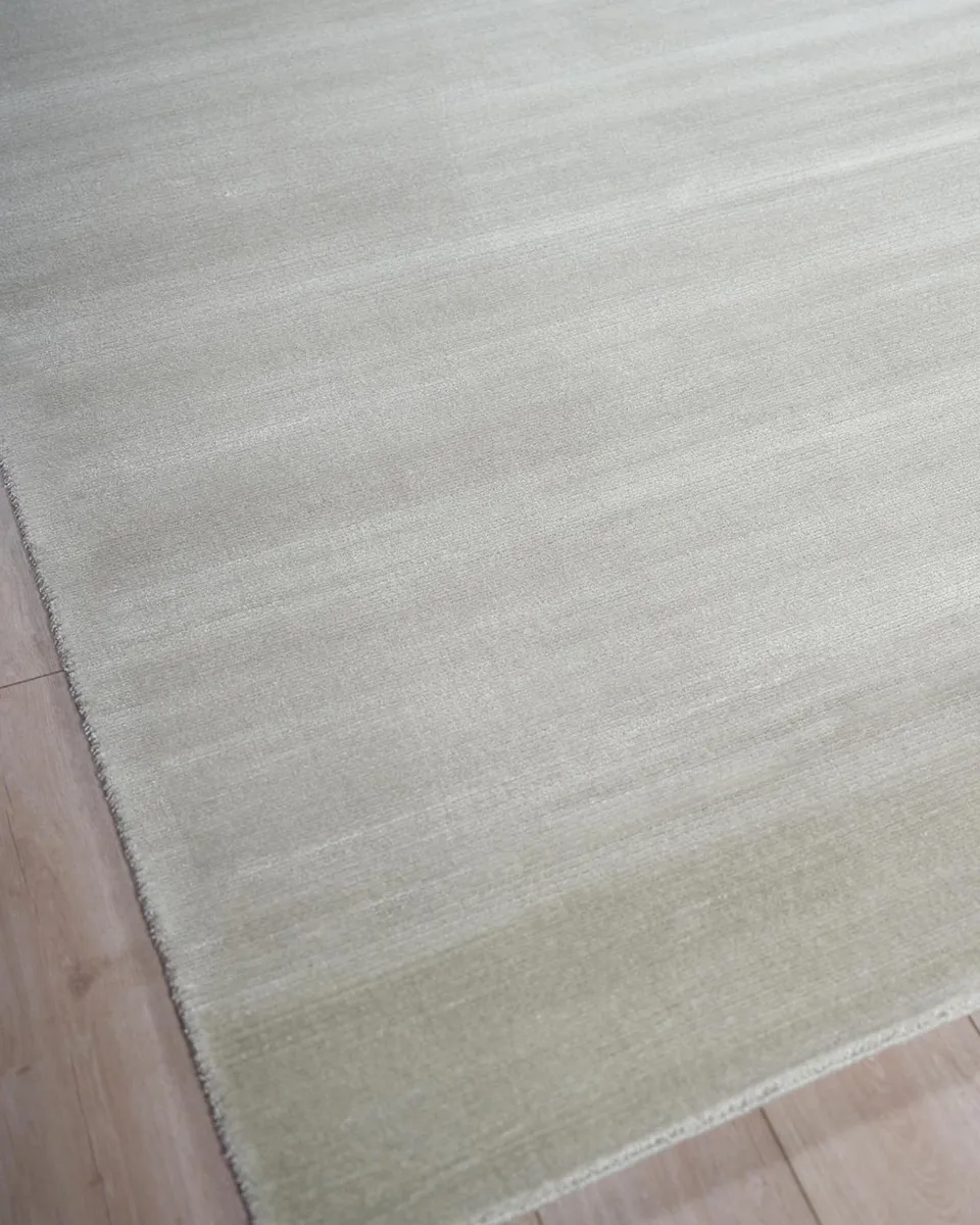 Exquisite Rugs Pavia Hand-Loomed Silver Rug, 4 ' x 6 ' | Thumbnail 2