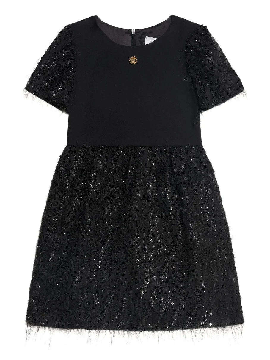 Shimmer Embellished Dress Shimmer Embellished Dress