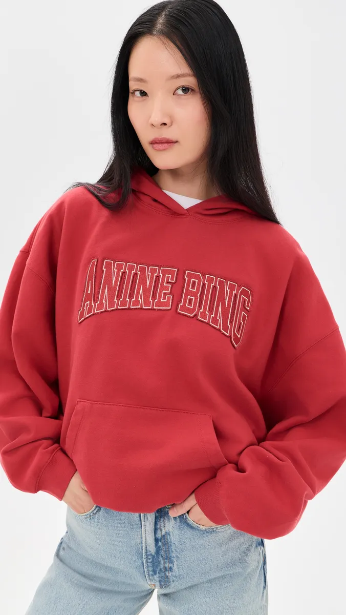 Anine Bing Harvey Hooded Sweatshirt | Thumbnail 2