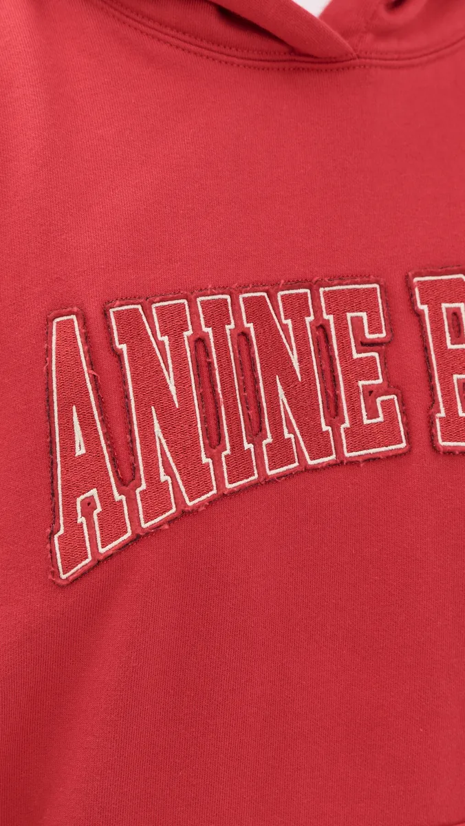 Anine Bing Harvey Hooded Sweatshirt | Thumbnail 6