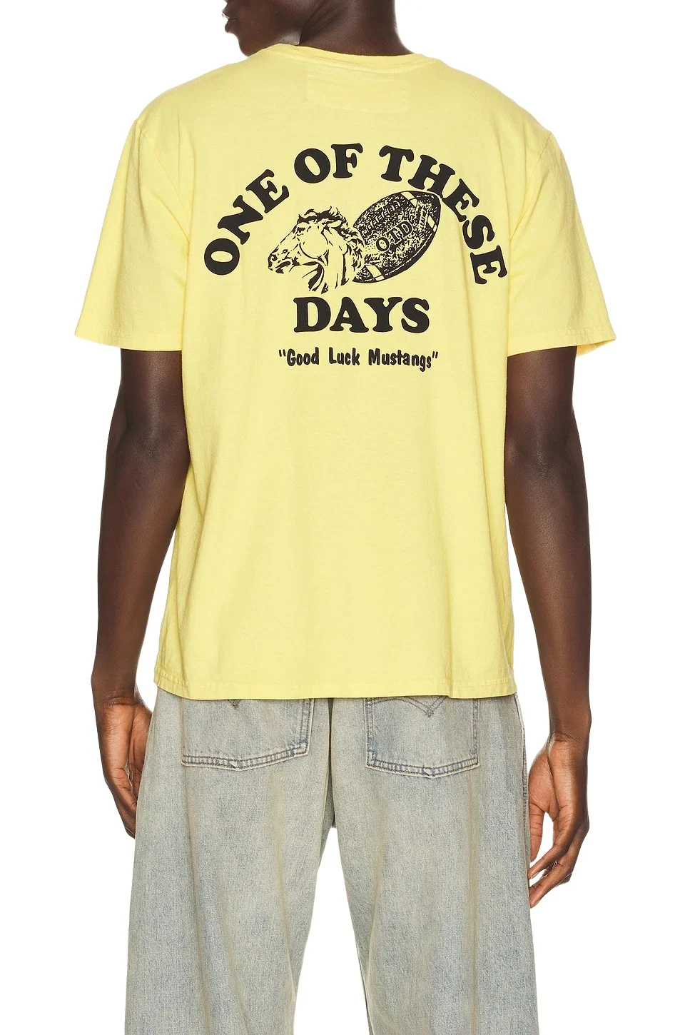 ONE OF THESE DAYS Good Luck Mustangs Tee