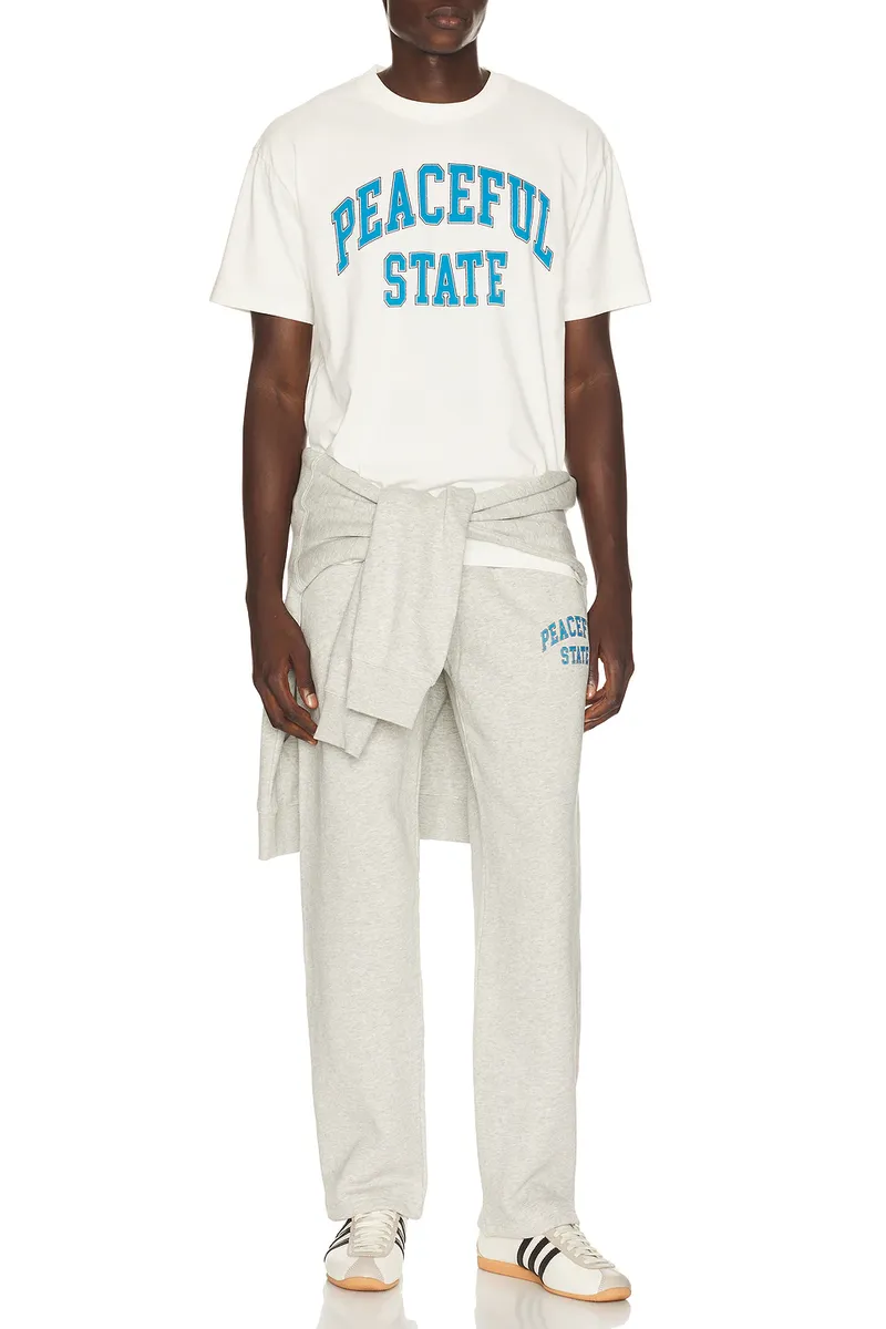 Museum of Peace and Quiet Peaceful T-shirt | Thumbnail 3 Museum of Peace and Quiet Peaceful T-shirt | Thumbnail 3