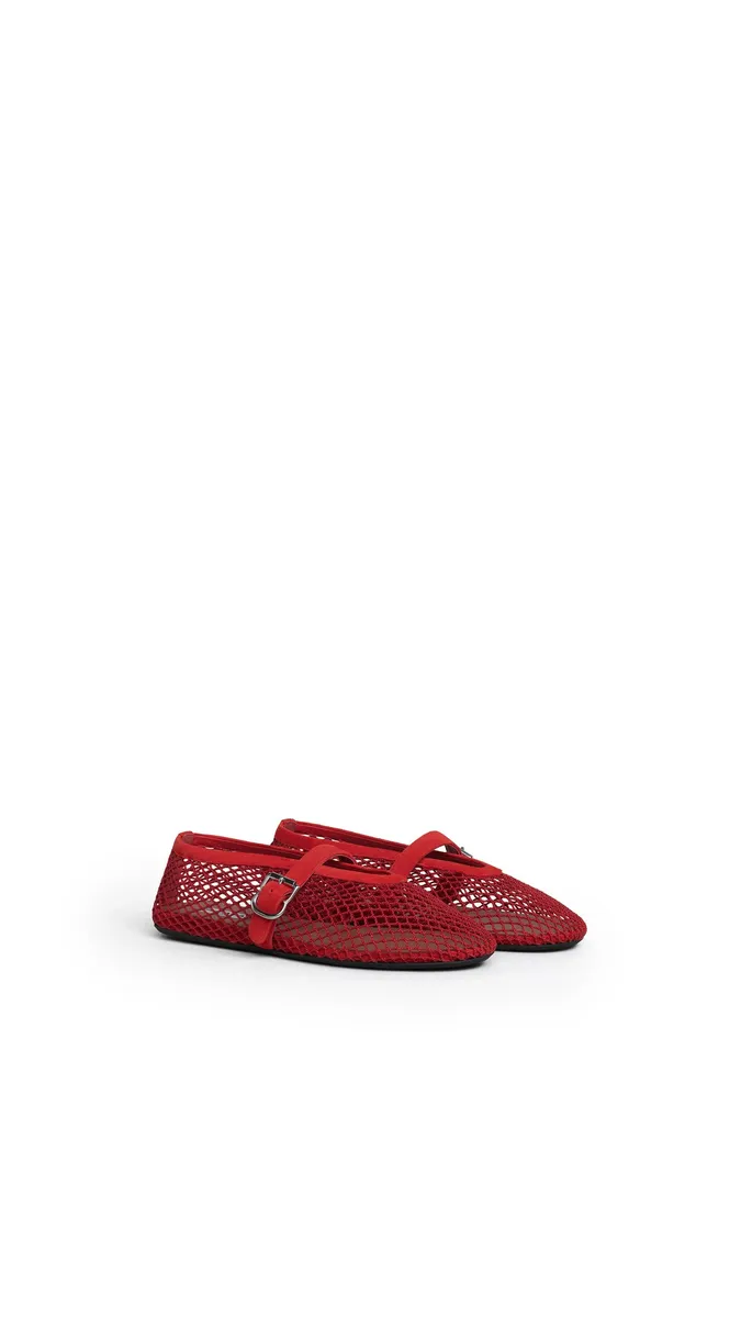 Alaïa Ballet Flats In Fishnet And Suede | Thumbnail 2