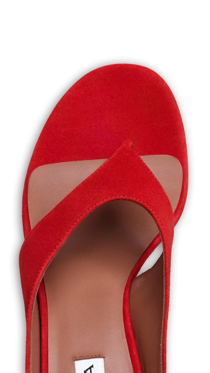 Alaïa Cube Thong Mules In Suede | Thumbnail 4