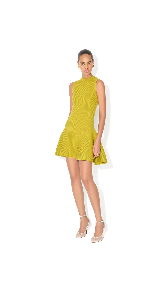 Alaïa Ribbed Skater Dress | Thumbnail 2