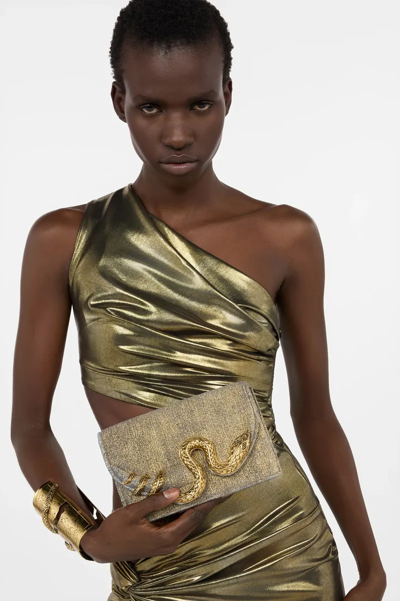 Roberto Cavalli Golden Brushed-Effect Bag with Snake Motif | Thumbnail 2
