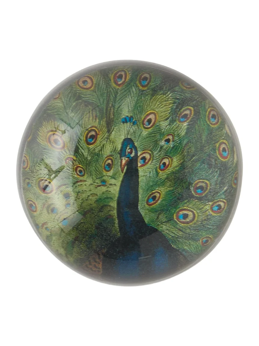 John Derian Peacock Dome Paperweight