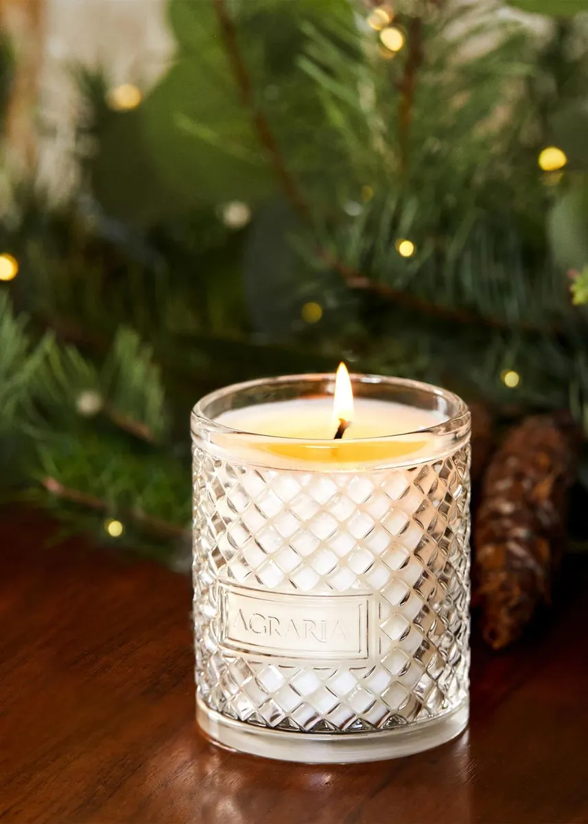 Agraria Blue Spruce Candle, 7 oz. | Thumbnail 2