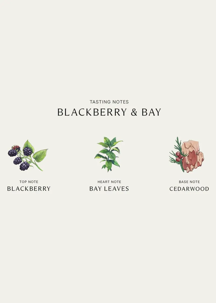 Jo Malone London Blackberry & Bay Body Creme, 175 mL | Thumbnail 3 Jo Malone London Blackberry & Bay Body Creme, 175 mL | Thumbnail 3
