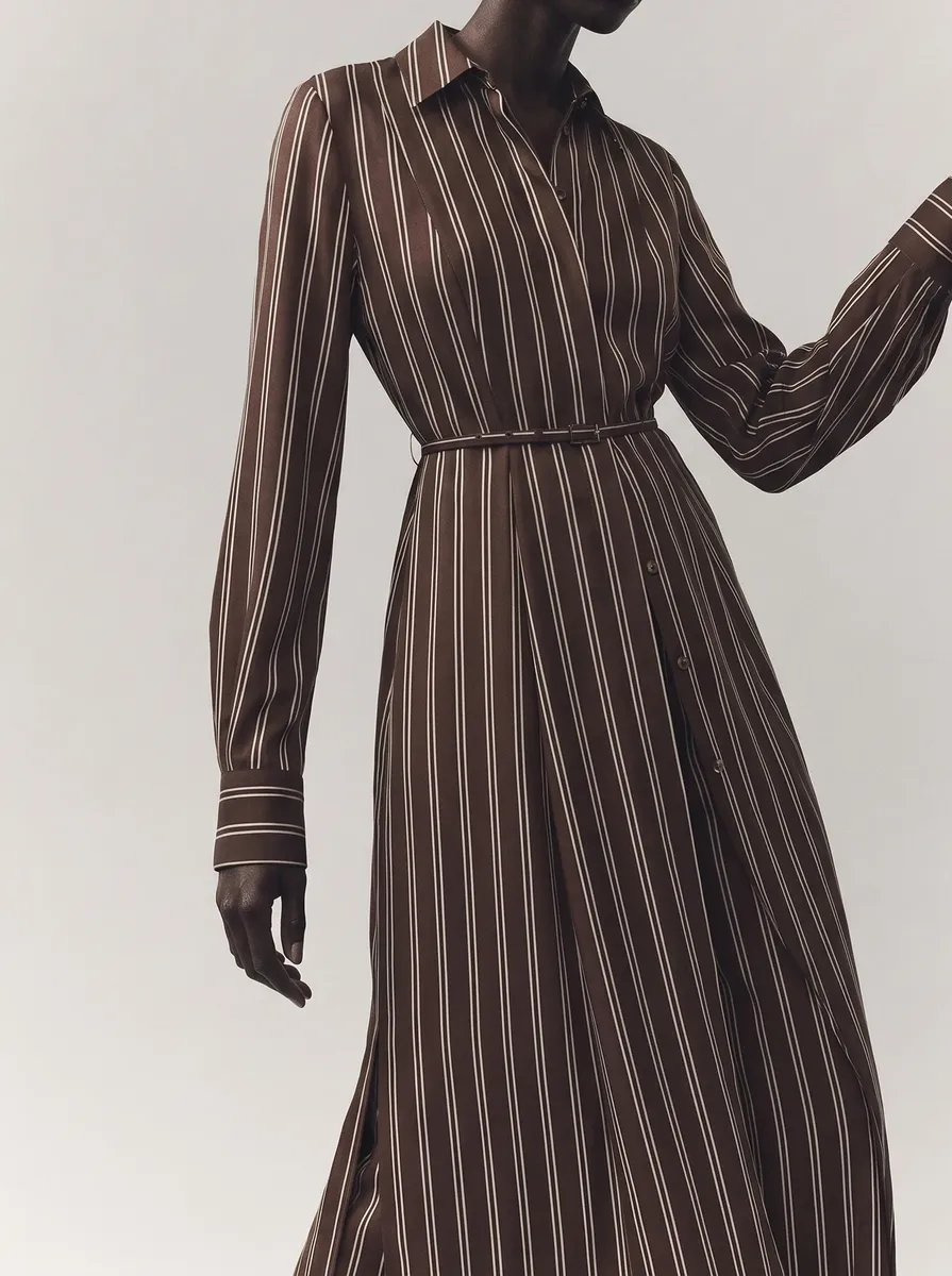 Jason Wu Collection STRIPED LONG SLEEVE MIDI SHIRTDRESS | Thumbnail 2