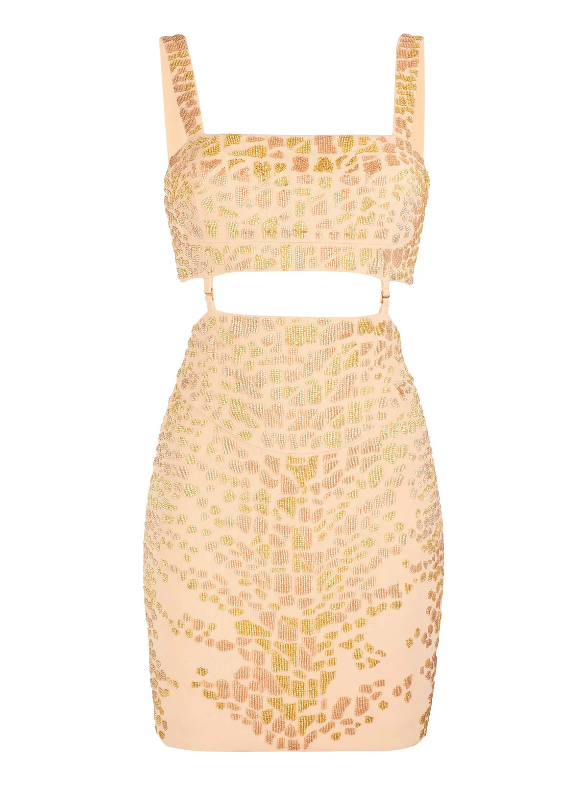Roberto Cavalli Leopard Bead-Embellished Mini Dress