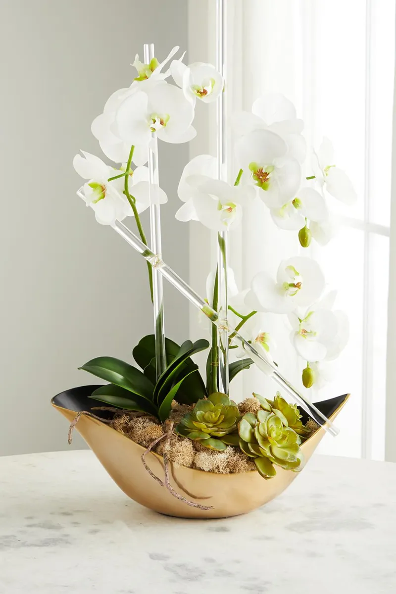 John-Richard Collection Cambridge Orchid Arrangement | Thumbnail 3 John-Richard Collection Cambridge Orchid Arrangement | Thumbnail 3