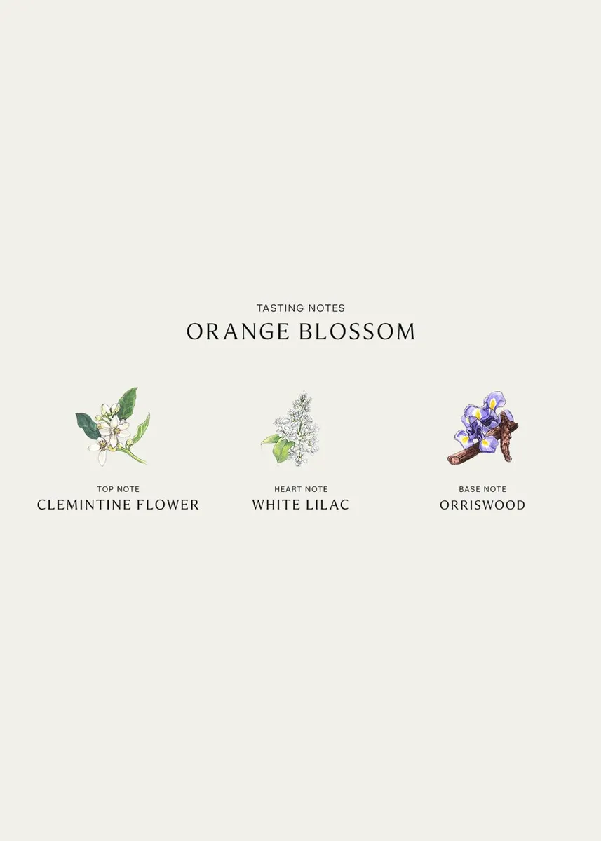 Jo Malone London Orange Blossom Home Candle, 7 oz. | Thumbnail 4 Jo Malone London Orange Blossom Home Candle, 7 oz. | Thumbnail 4