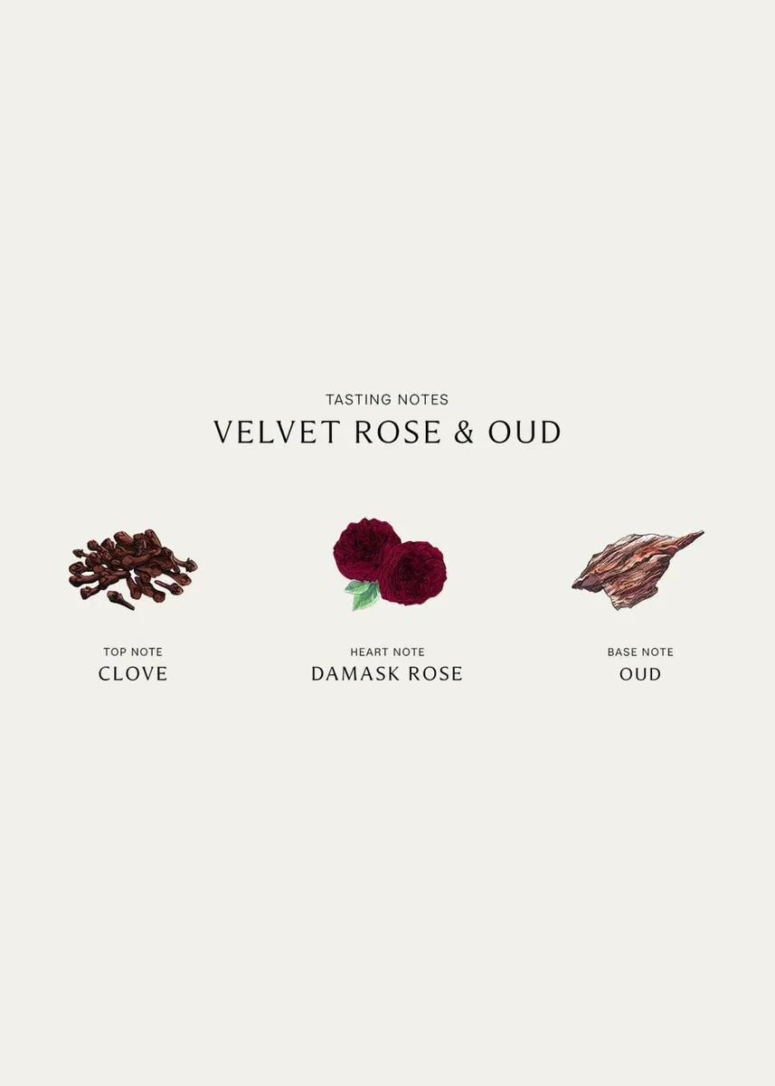 Jo Malone London Velvet Rose and Oud Cologne Intense, 3.4 oz. | Thumbnail 3 Jo Malone London Velvet Rose and Oud Cologne Intense, 3.4 oz. | Thumbnail 3
