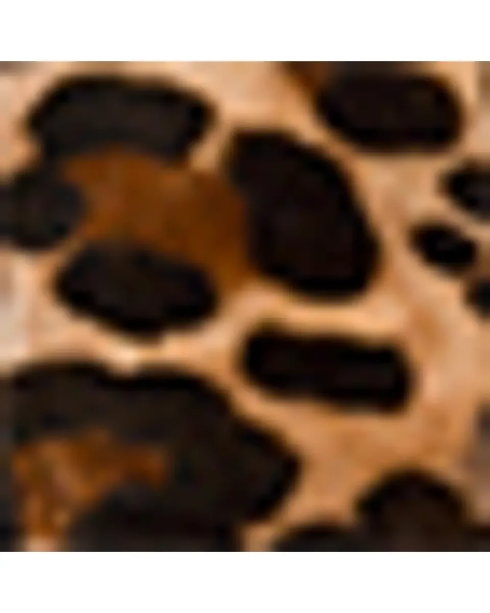 Vibi Venezia Leopard-Printed Canvas Mary Jane Ballerina Flats | Thumbnail 3