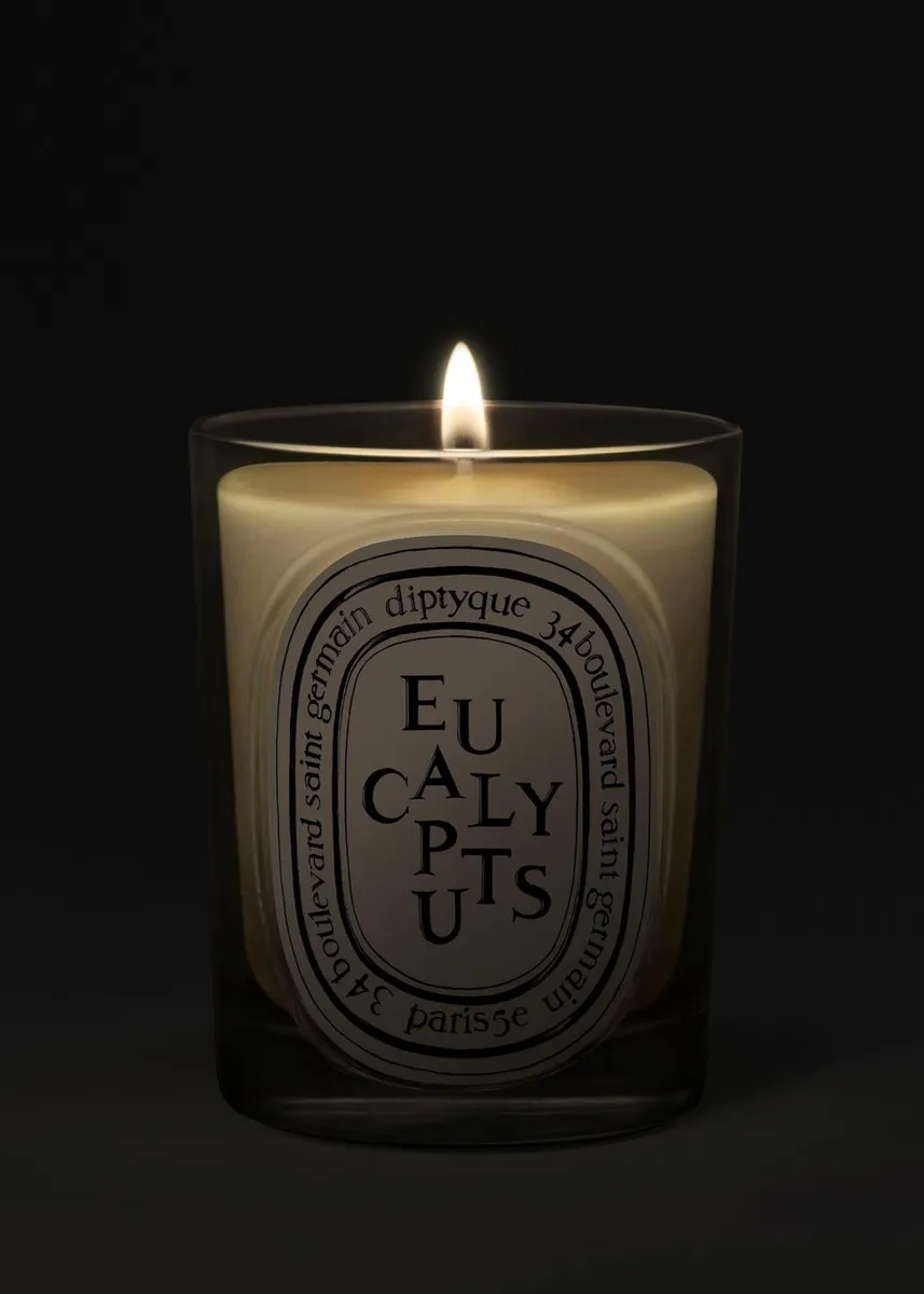 Diptyque Eucalyptus Classic Candle, 6.7 oz. | Thumbnail 2 Diptyque Eucalyptus Classic Candle, 6.7 oz. | Thumbnail 2