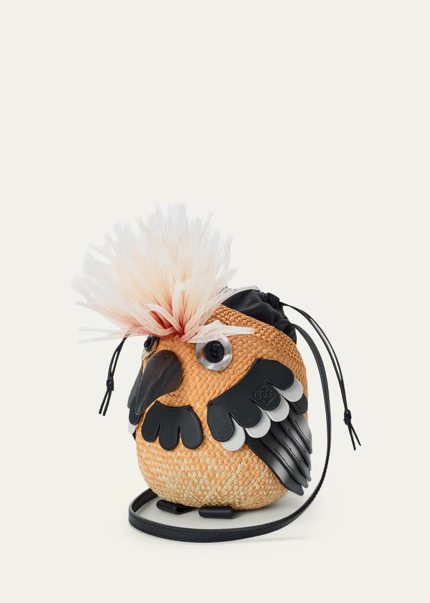 Loewe x Paula's Ibiza Woven Bird Crossbody Bag | Thumbnail 5