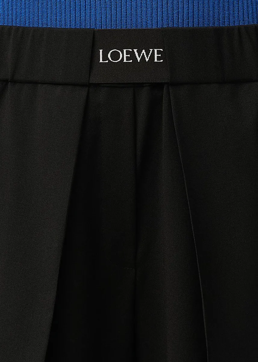 Loewe Logo Waist Asymmetric Pleated Pants | Thumbnail 5