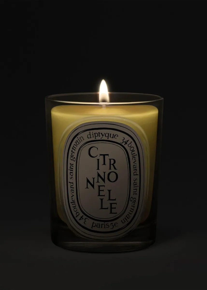 Diptyque Citronnelle Classic Candle, 6.5 oz. | Thumbnail 3 Diptyque Citronnelle Classic Candle, 6.5 oz. | Thumbnail 3