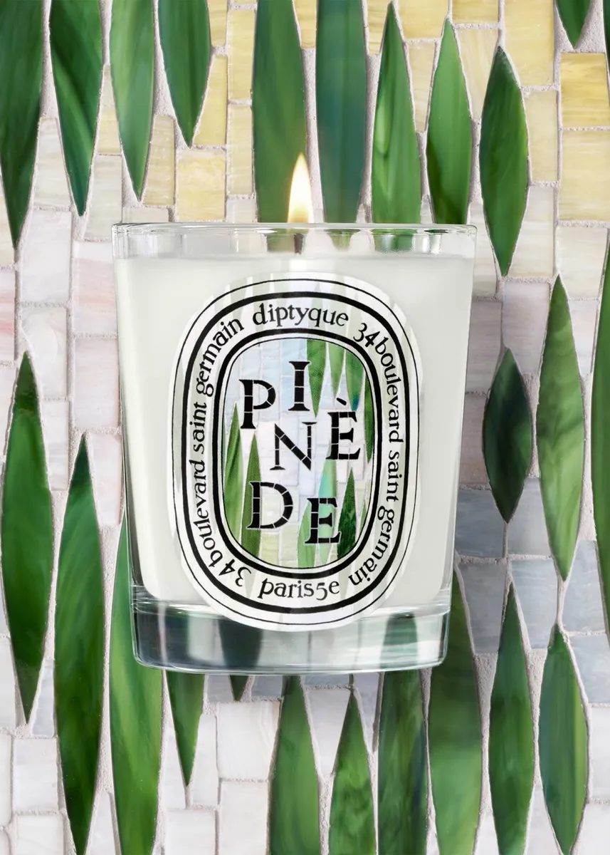 Diptyque Pinède Classic Candle, 6.5 oz. | Thumbnail 3 Diptyque Pinède Classic Candle, 6.5 oz. | Thumbnail 3