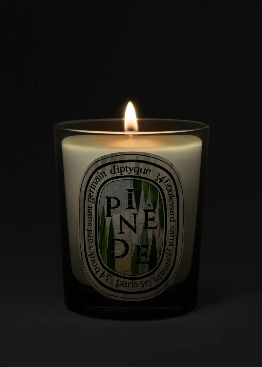 Diptyque Pinède Classic Candle, 6.5 oz. | Thumbnail 4 Diptyque Pinède Classic Candle, 6.5 oz. | Thumbnail 4