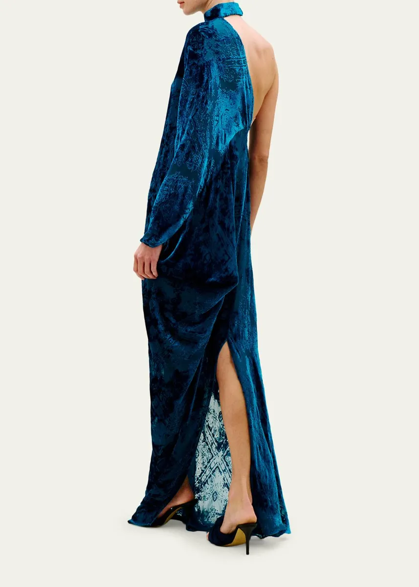 Silvia Tcherassi Anya Mock-Neck Asymmetric Velvet Burnout Maxi Dress | Thumbnail 3 Silvia Tcherassi Anya Mock-Neck Asymmetric Velvet Burnout Maxi Dress | Thumbnail 3