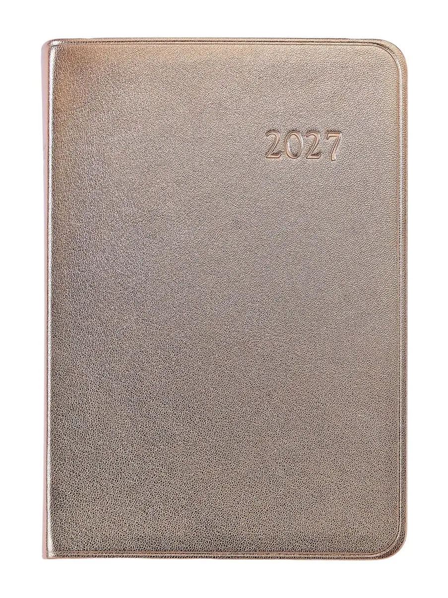 Graphic Image 2027 Leather Daily Journal