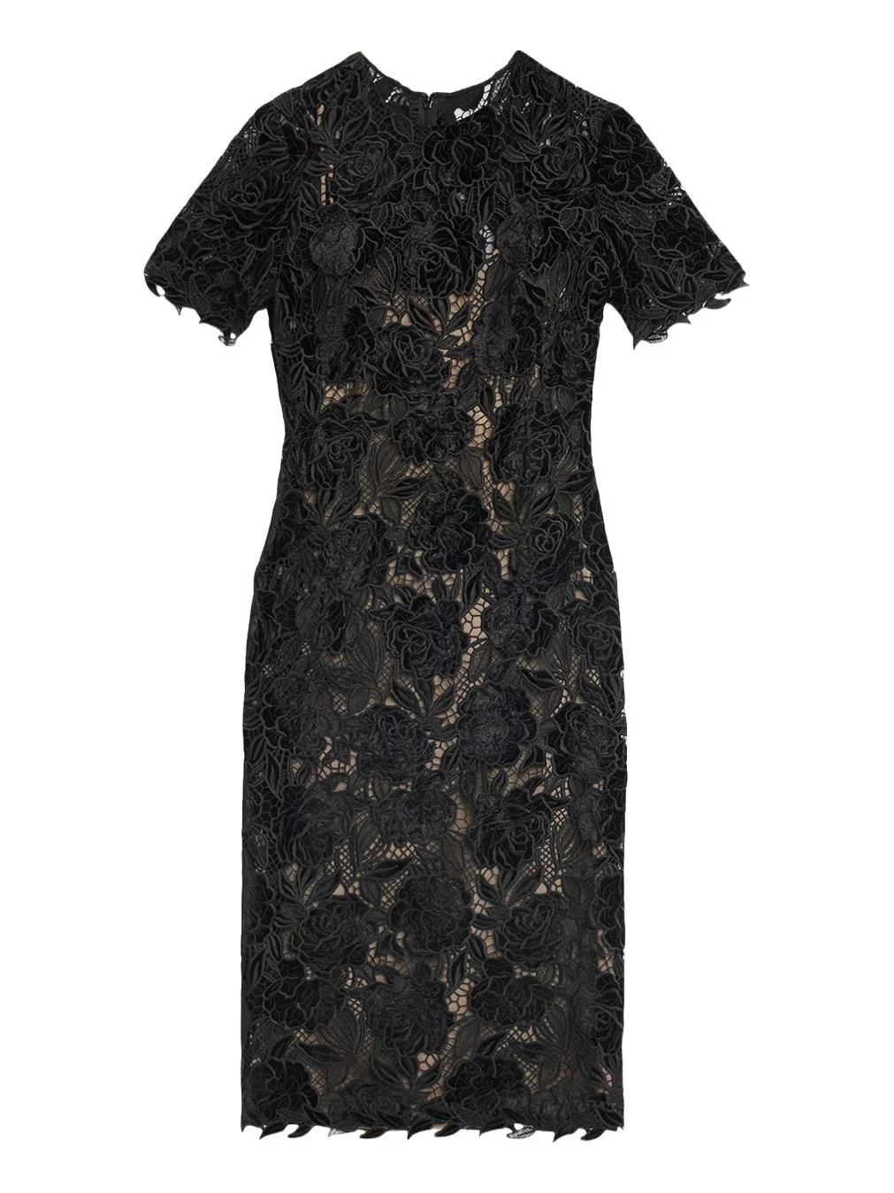 Floral Lace Knee-Length Dress