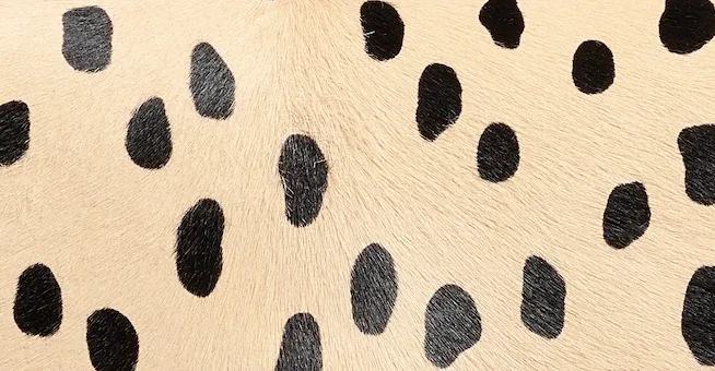 Khaite Piper Clutch In Spotted Haircalf | Thumbnail 6