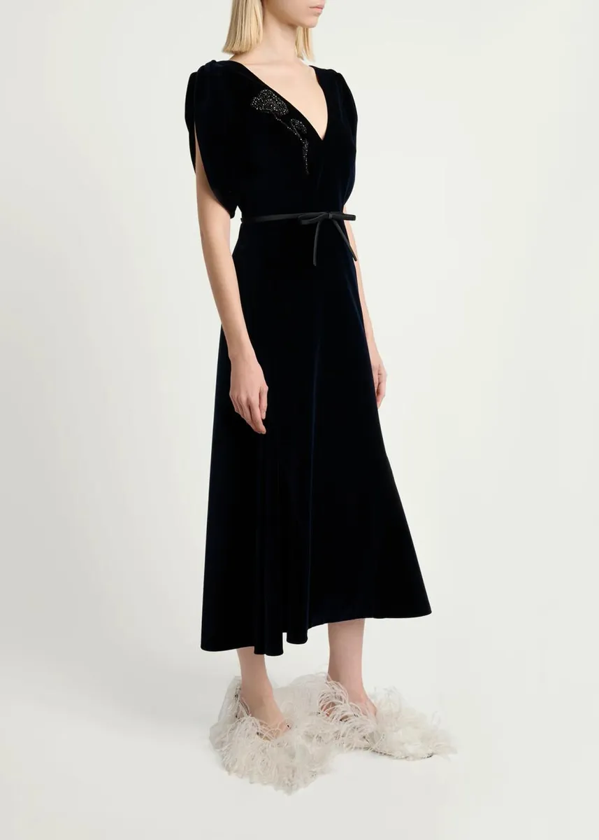 Erdem Embellished Velvet Short-Sleeve A-Line Midi Dress | Thumbnail 4 Erdem Embellished Velvet Short-Sleeve A-Line Midi Dress | Thumbnail 4
